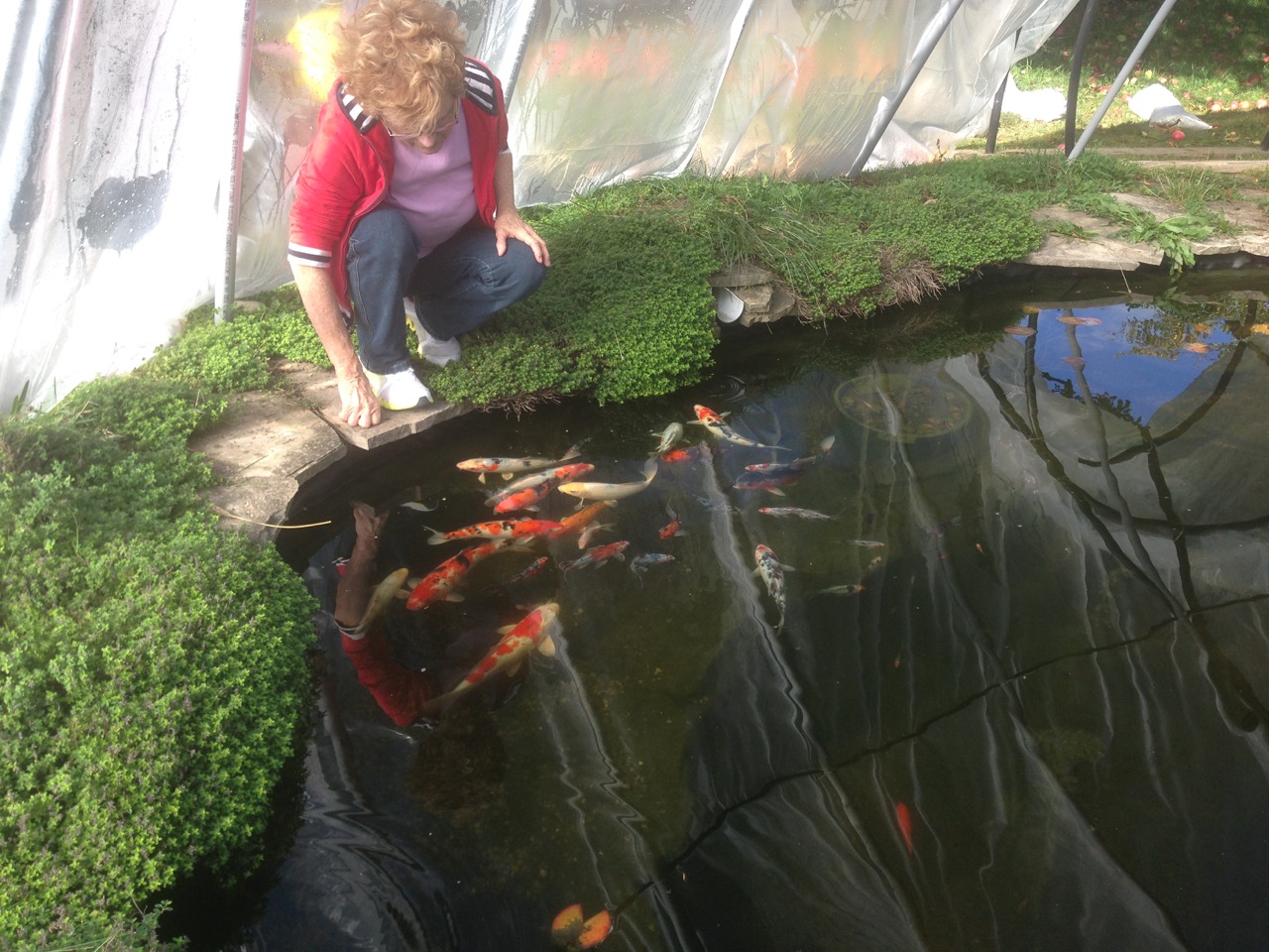 Inside the dome feeding the fish.