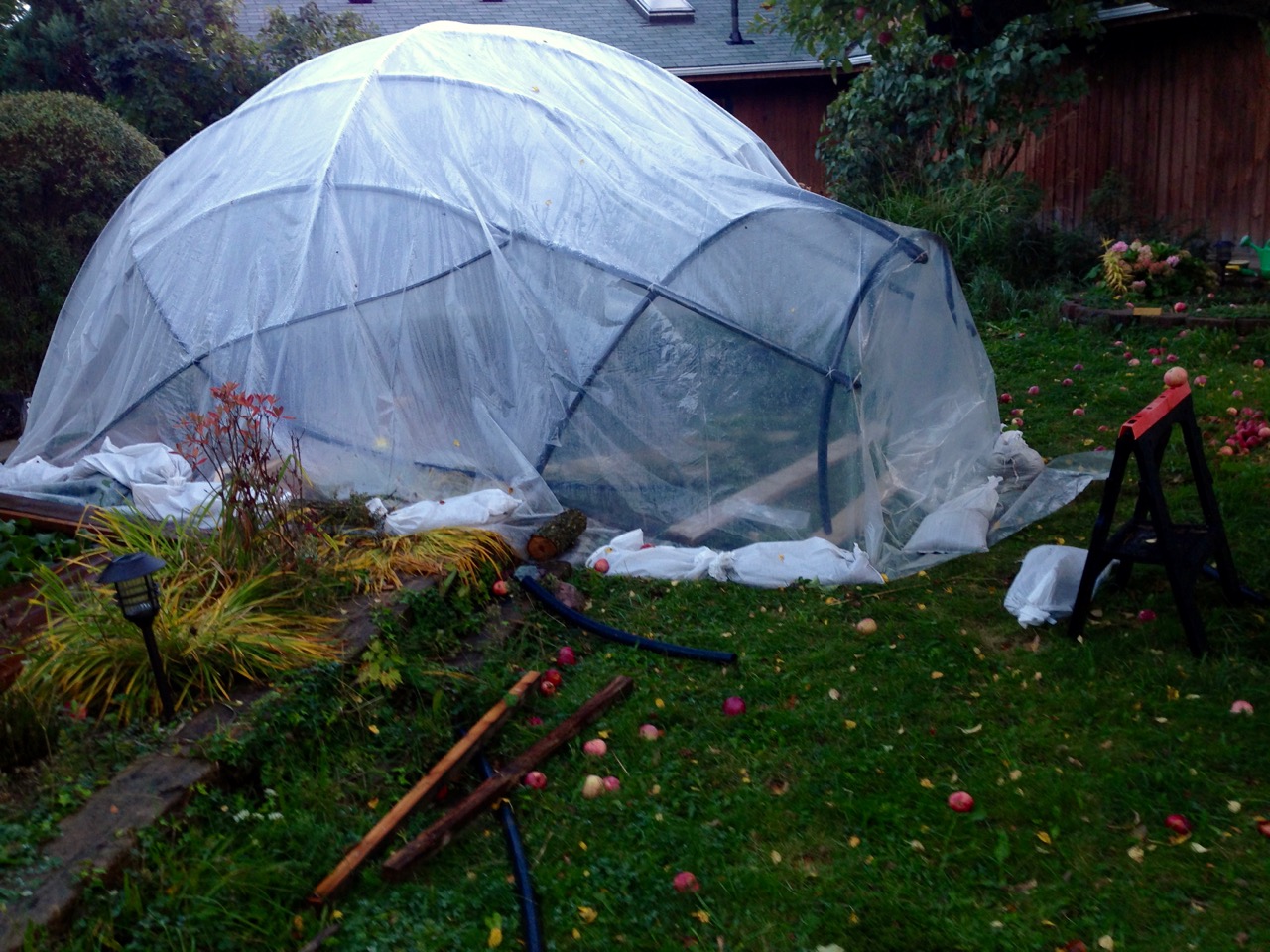 Pond cover entrance.